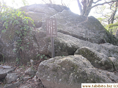 Then there's this Sekireinoishi (Rock of the Japanese Wagtail)