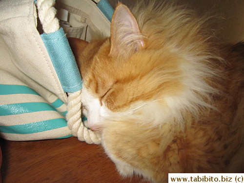 Zzzz