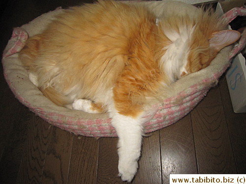 Zzzz