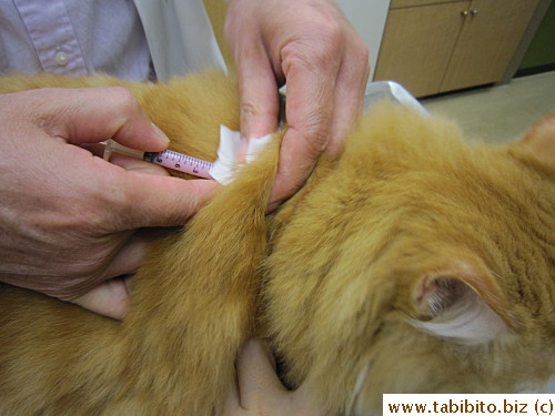 Nobody likes having shots