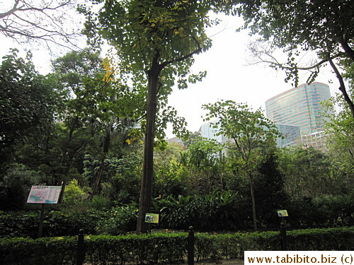 Kowloon Park is an oasis in Tsim Sha Tsui