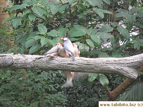 Mother feeds her kids