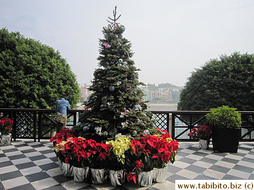 Christmas tree on the second floor terrace