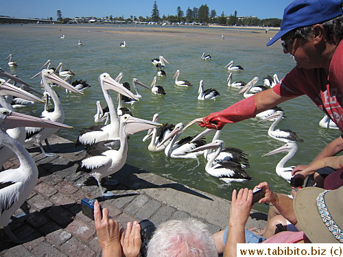 for this man who does a bit of pre-feeding to 