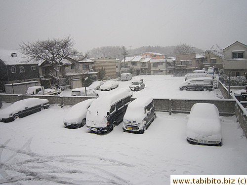 Feb 8, morning
