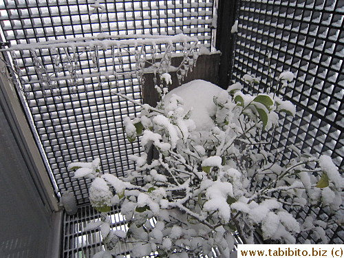 Our covered balcony