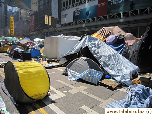 Many shops' business dropped drastically because of the blocking of Nathan Road and occupation.  I can see why owners who are pro-government are angry at the protestors