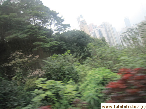 Climbing the mountain