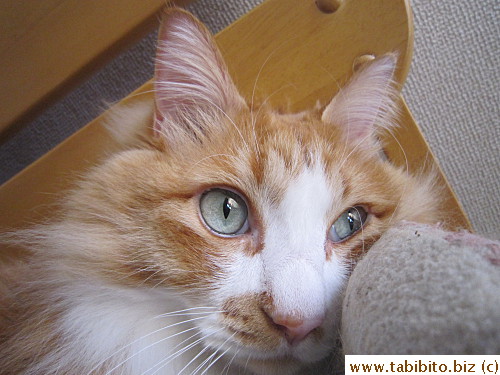 Wish I knew what he's thinking