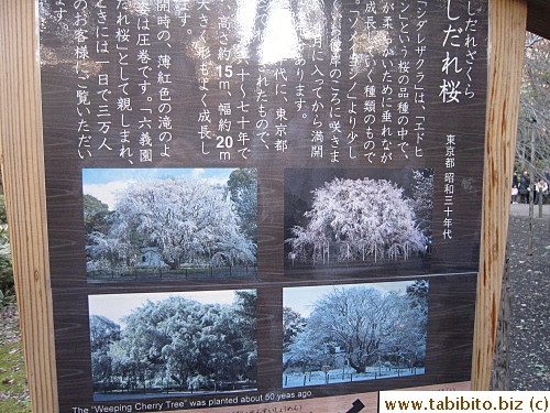 Famous for cherry blossom viewing in Spring