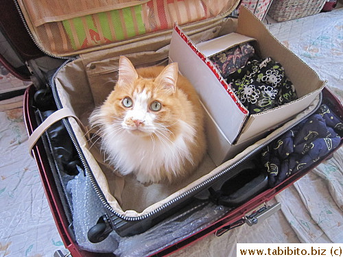 As usual, ABC to come pick up our luggage the day before departure to