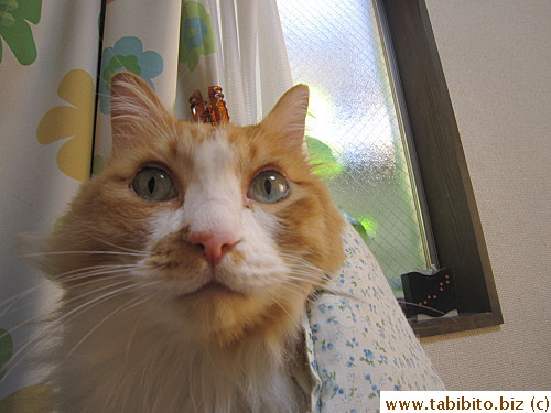 Jolted upright from a deep sleep