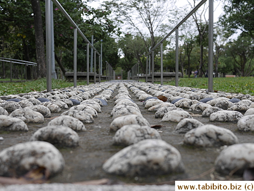 Not easy to walk on stones even with shoes on