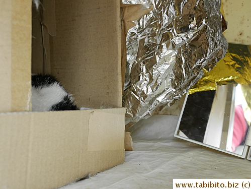 I put a mirror there so we could see what she's doing