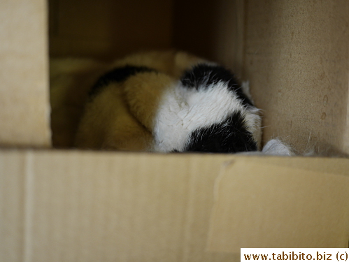 She slept long hours on the last few days