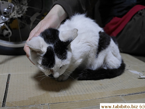 It breaks our hearts to see her like this