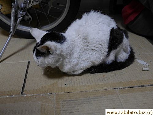 It's been wonderful to have been your friend, MT