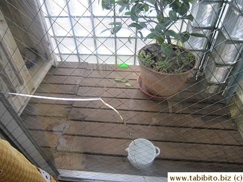 Wanted to cover this crack on the window door that