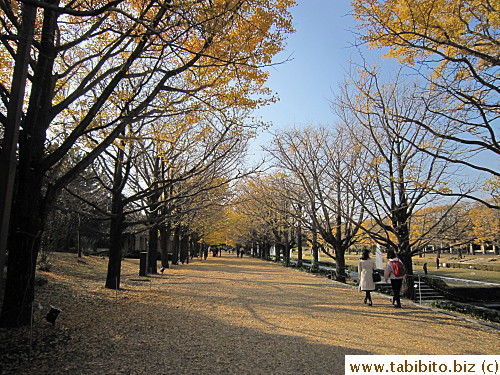 Enjoy the rest of the pictures