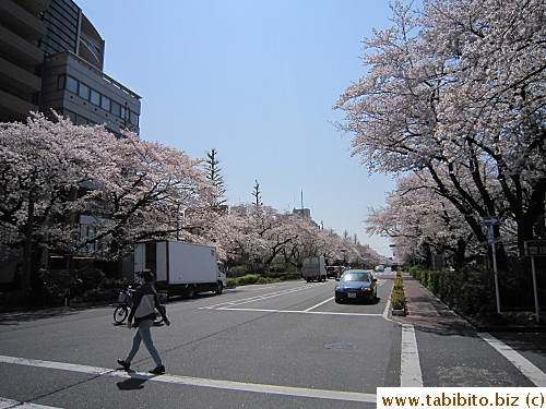 A leisurely stroll like what we had was fantastic
