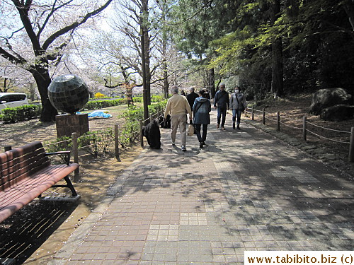 Lots of dog walkers that day