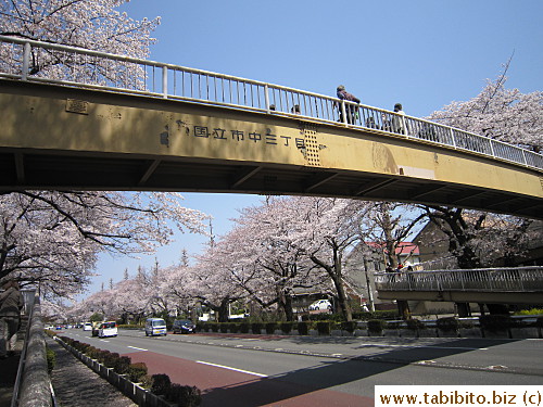 This footbridge is a must-go spot to take beautiful pictures
